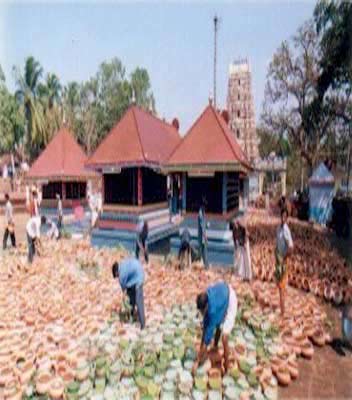 PalakkunnuSreeBhagavathyTempleFestival (1)